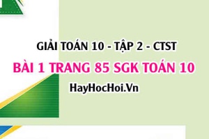 Giải bài 1 trang 85 Toán 10 tập 2 SGK Chân trời sáng tạo
